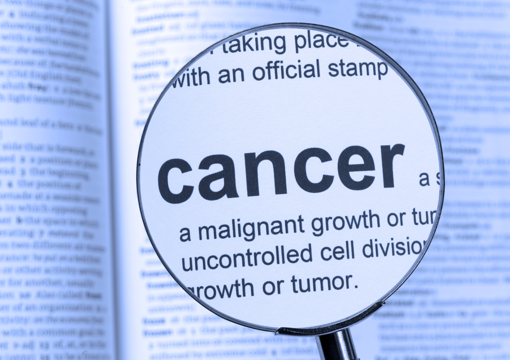 健康・予防医療領域